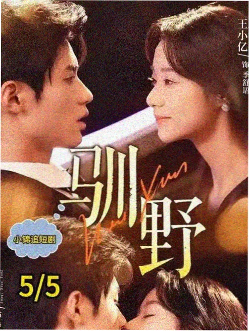 剧集长夜灯塔封面